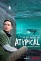 Atypical Season 1-4 (2020) WEBRip x264 720p Complete Mkvking - Mkvking.com