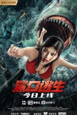 Escape from the Shark's Mouth (2021) WEB-DL 480p, 720p & 1080p Mkvking - Mkvking.com