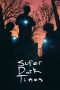 Super Dark Times (2017) BluRay 480p & 720p Mkvking - Mkvking.com