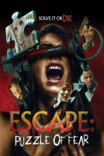 Escape: Puzzle of Fear (2020) WEBRip 480p, 720p & 1080p Mkvking - Mkvking.com