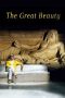 The Great Beauty (2013) BluRay 480p, 720p & 1080p Mkvking - Mkvking.com