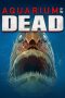 Aquarium of the Dead (2021) BluRay 480p, 720p & 1080p Mkvking - Mkvking.com