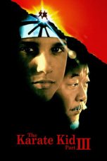 The Karate Kid Part III (1989) BluRay 480p, 720p & 1080p Mkvking - Mkvking.com