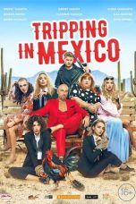 Tripping in Mexico (2019) WEB-DL 480p & 720p Mkvking - Mkvking.com