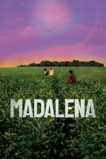 Madalena (2021) WEBRip 480p, 720p & 1080p Mkvking - Mkvking.com