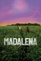 Madalena (2021) WEBRip 480p, 720p & 1080p Mkvking - Mkvking.com
