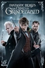 Fantastic Beasts: The Crimes of Grindelwald (2018) BluRay 720p, 1080p, & 2160p Mkvking - Mkvking.com