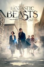 Fantastic Beasts and Where to Find Them (2016) BluRay 720p, 1080p, & 2160p Mkvking - Mkvking.com