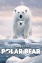 Polar Bear (2022) WEBRip 480p, 720p & 1080p Mkvking - Mkvking.com