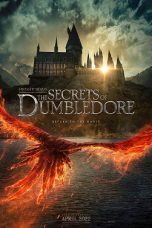 Fantastic Beasts: The Secrets of Dumbledore (2022) BluRay 480p, 720p & 1080p Mkvking - Mkvking.com