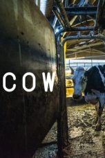 Cow (2021) BluRay 480p, 720p & 1080p Mkvking - Mkvking.com