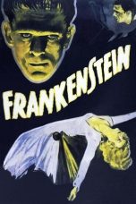 Frankenstein (1931) BluRay 480p, 720p & 1080p Mkvking - Mkvking.com