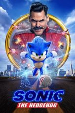 Sonic the Hedgehog 2 (2022) BluRay 480p, 720p & 1080p Mkvking - Mkvking.com