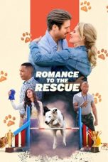 Romance to the Rescue (2022) WEBRip 480p, 720p & 1080p Mkvking - Mkvking.com