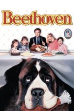 Beethoven (1992) BluRay 480p, 720p & 1080p Mkvking - Mkvking.com