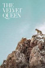 The Velvet Queen (2021) BluRay 480p, 720p & 1080p Mkvking - Mkvking.com