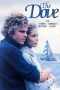 The Dove (1974) BluRay 480p, 720p & 1080p Mkvking - Mkvking.com