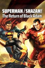 Superman/Shazam!: The Return of Black Adam (2010) BluRay 480p, 720p & 1080p Full HD Movie Download
