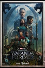 Black Panther: Wakanda Forever (2022) IMAX WEB-DL 480p, 720p & 1080p Full HD Movie Download