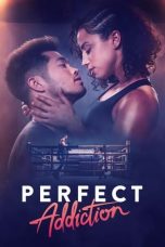 Perfect Addiction (2023) WEBRip 480p, 720p & 1080p Full HD Movie Download
