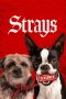 Strays (2023) BluRay 480p, 720p & 1080p Full HD Movie Download