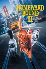 Homeward Bound II: Lost in San Francisco (1996) WEB-DL 480p, 720p & 1080p