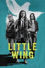 Little Wing (2024) WEB-DL 480p, 720p & 1080p Movie Download