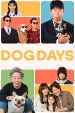 Dog Days (2024) WEB-DL 480p, 720p & 1080p Movie Download