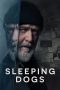 Sleeping Dogs (2024) WEB-DL 480p, 720p & 1080p Full Movie