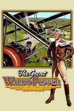 The Great Waldo Pepper (1975) BluRay 480p, 720p & 1080p